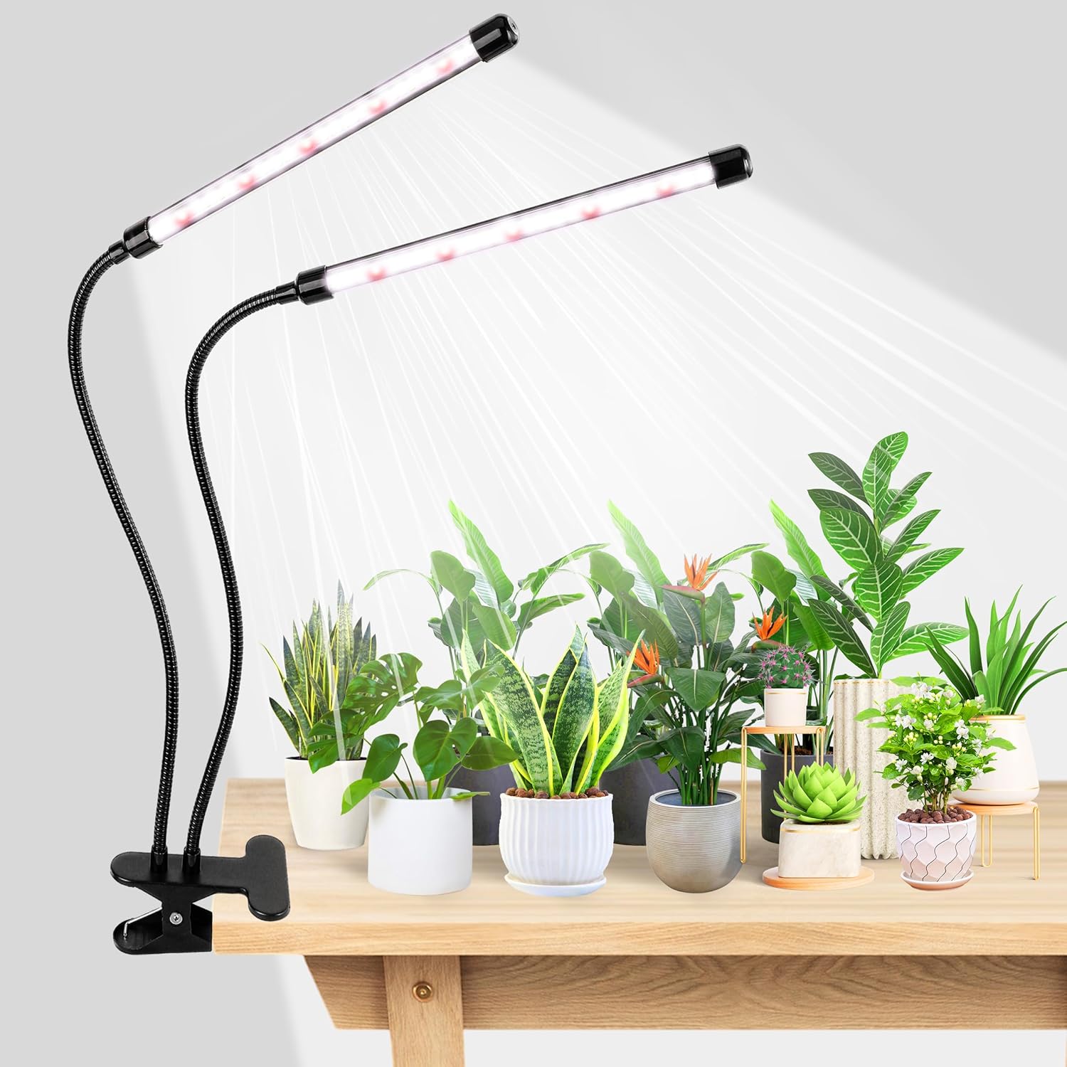 Hydroponic Grow Pod - KEBINCPLED Lámpara LED de crecimiento para