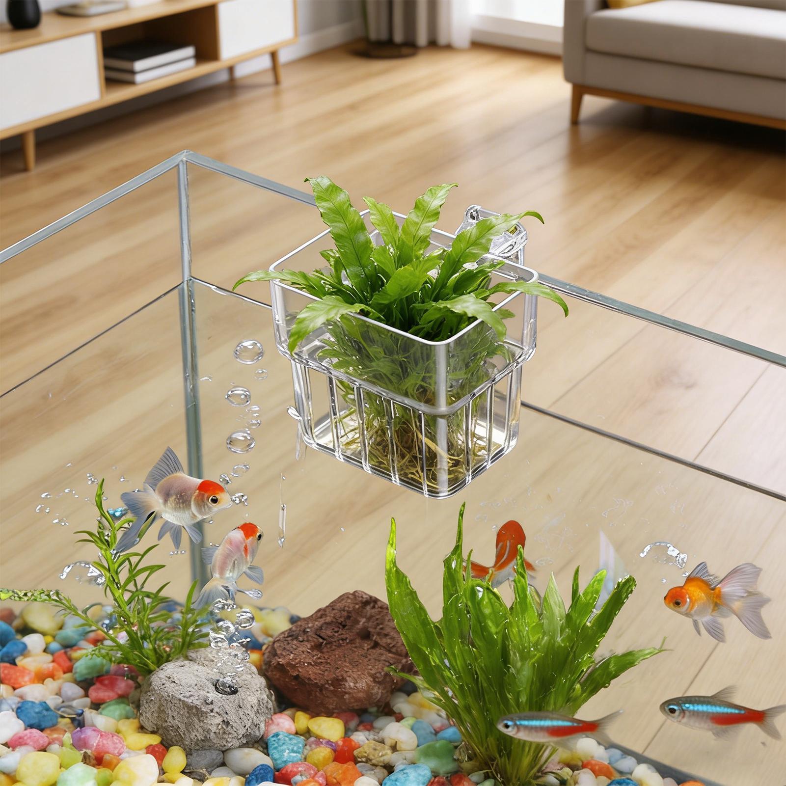 Hydroponic Grow Pod - Maceta Transparente Colgante para Plantas de