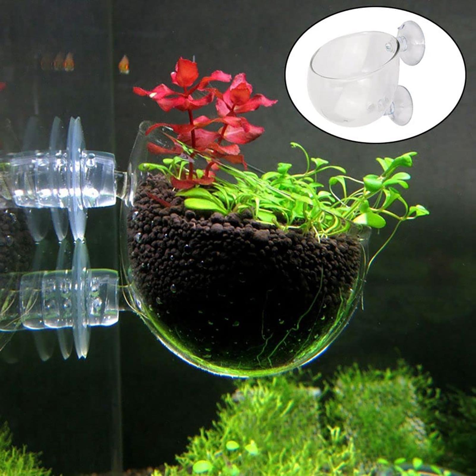 Hydroponic Grow Pod - Maceta para plantas acuáticas, macetero de