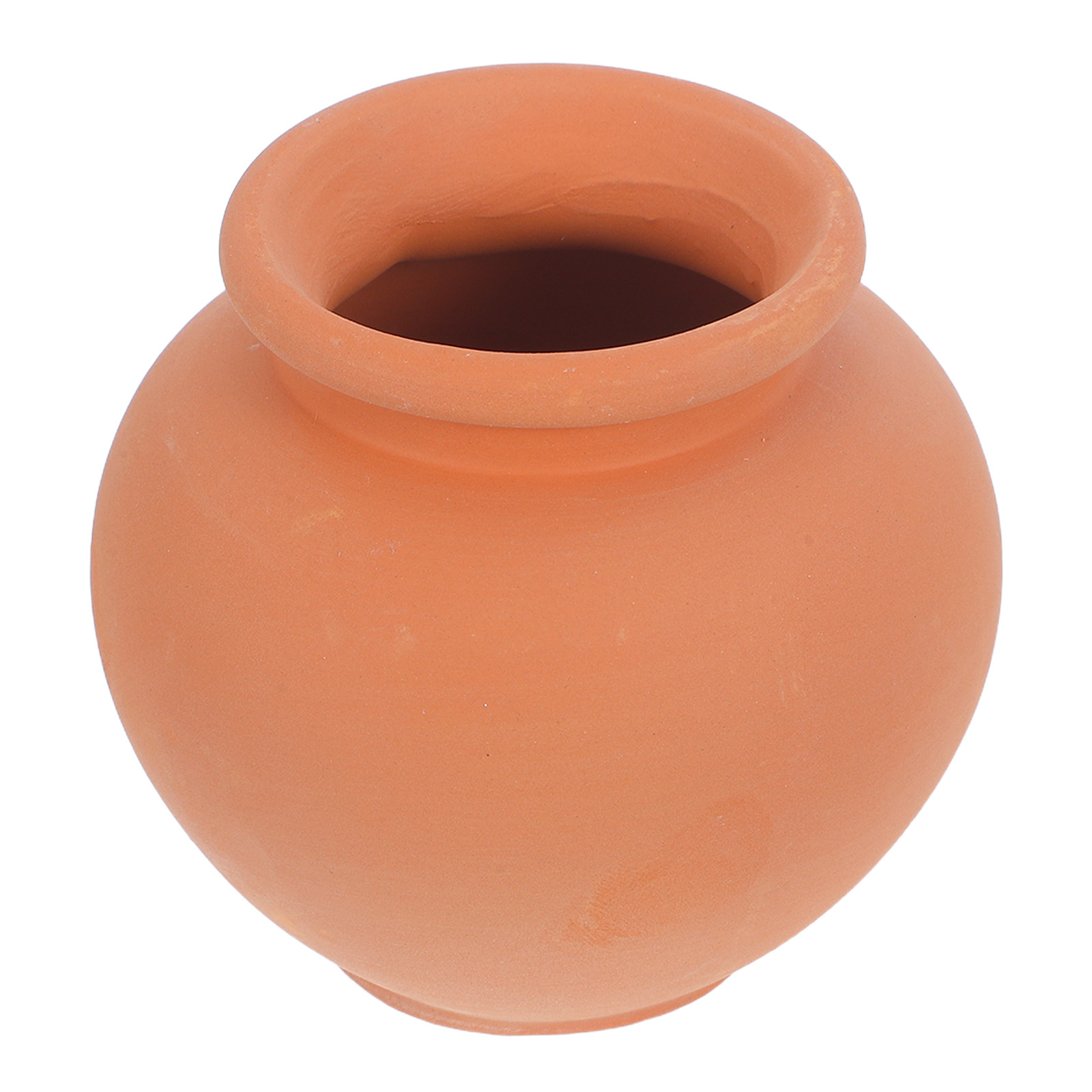 Plant Watering Globe - Gotero Automático para Plantas, Estacas de