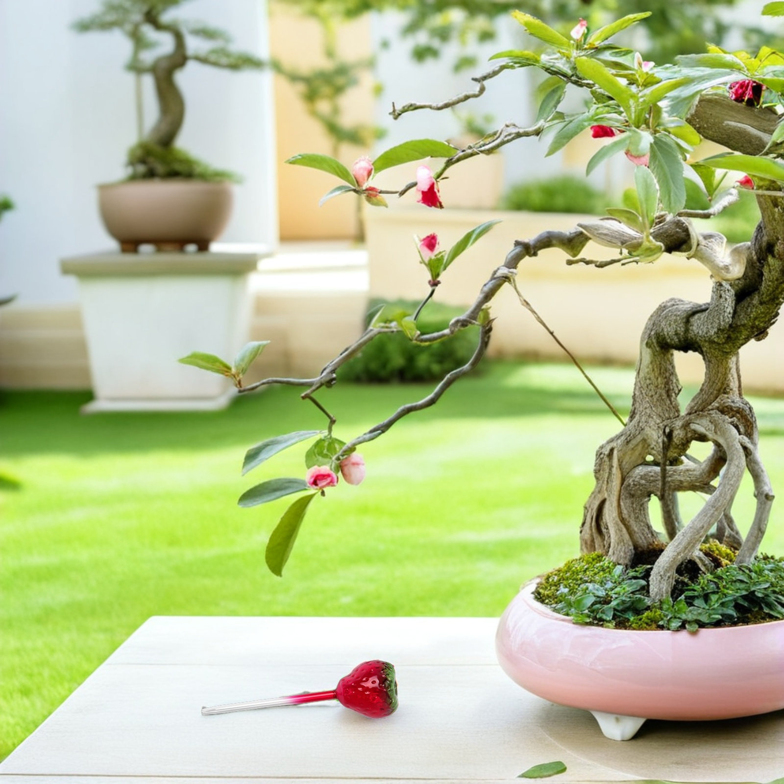 Plant Watering Globe - 2 Globos de Vidrio para Riego