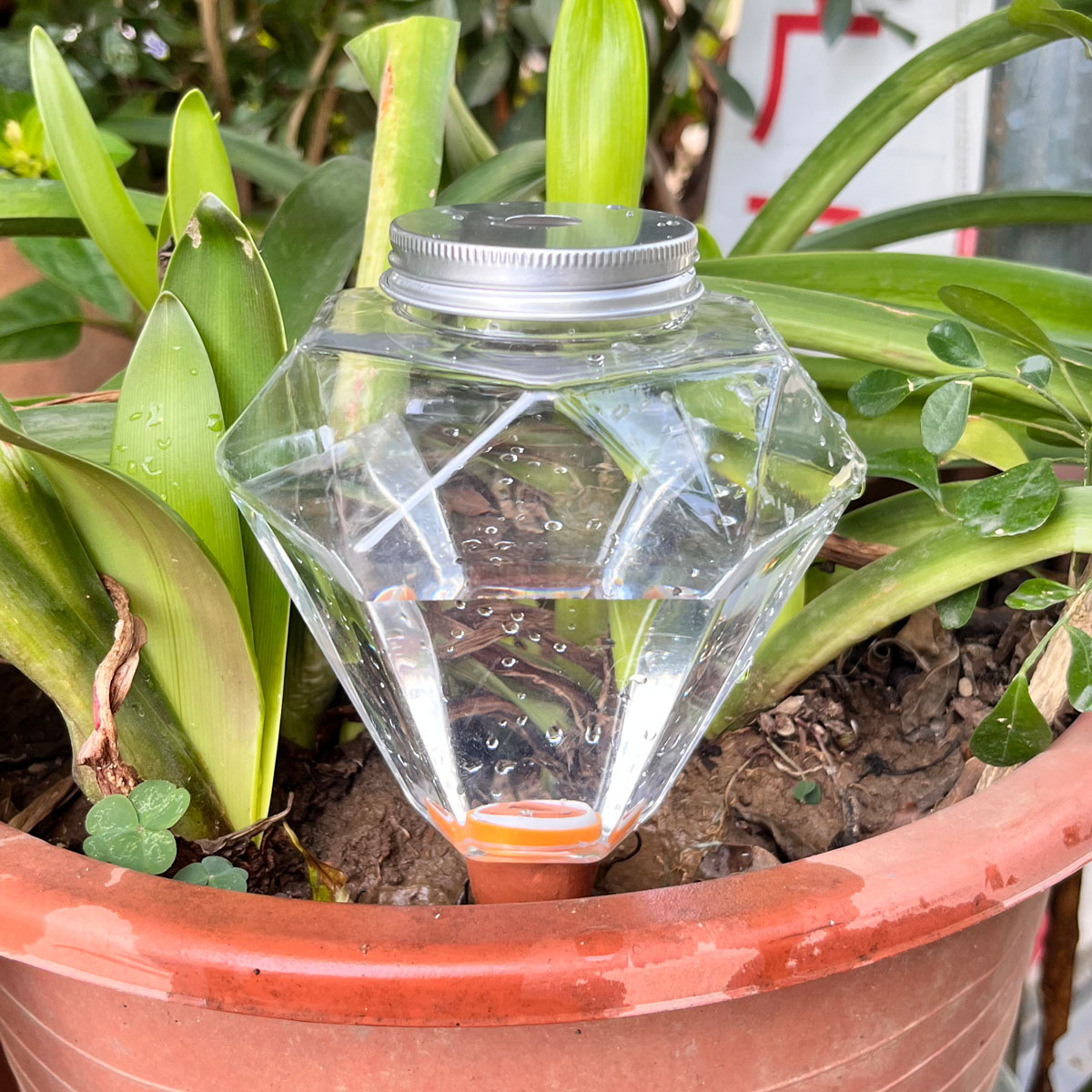 Plant Watering Globe - 1 unidad de riego automático de