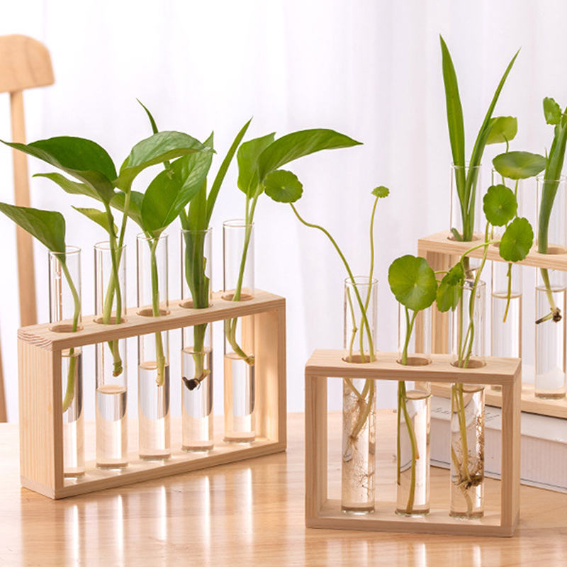Hydroponic Grow Pod - Contenedor de plantas hidropónicas con marco
