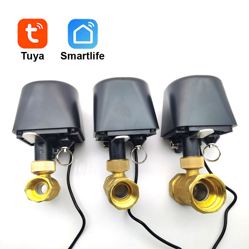 Smart Garden Zigbee - Tuya-válvula de agua WiFi o Zigbee,