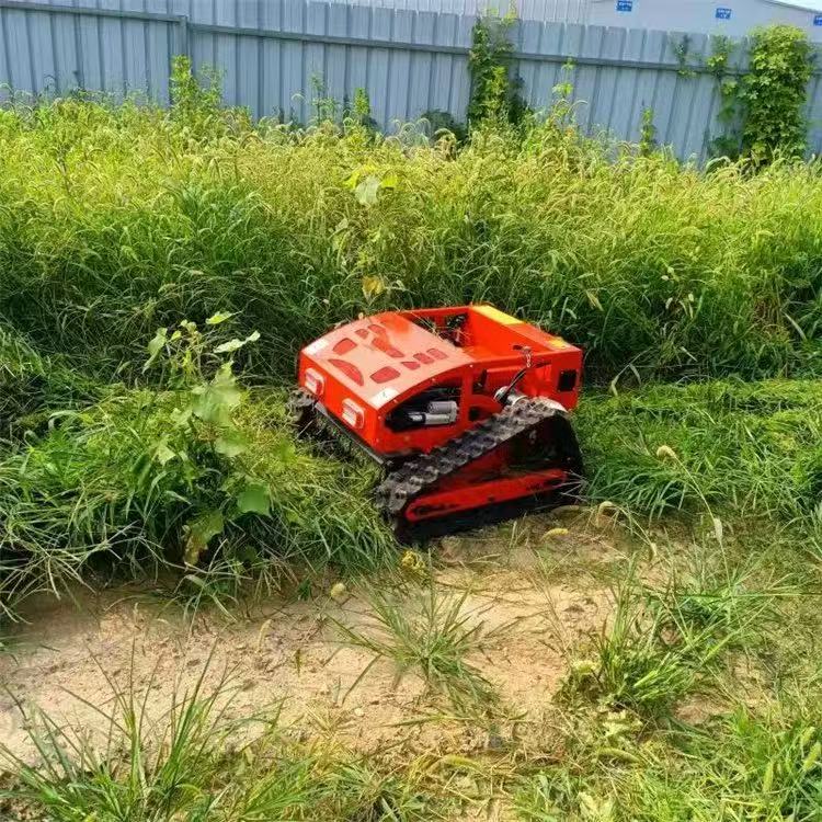 Desbrozadora Inteligente con C - Smart Garden Trimmer reseña y precio