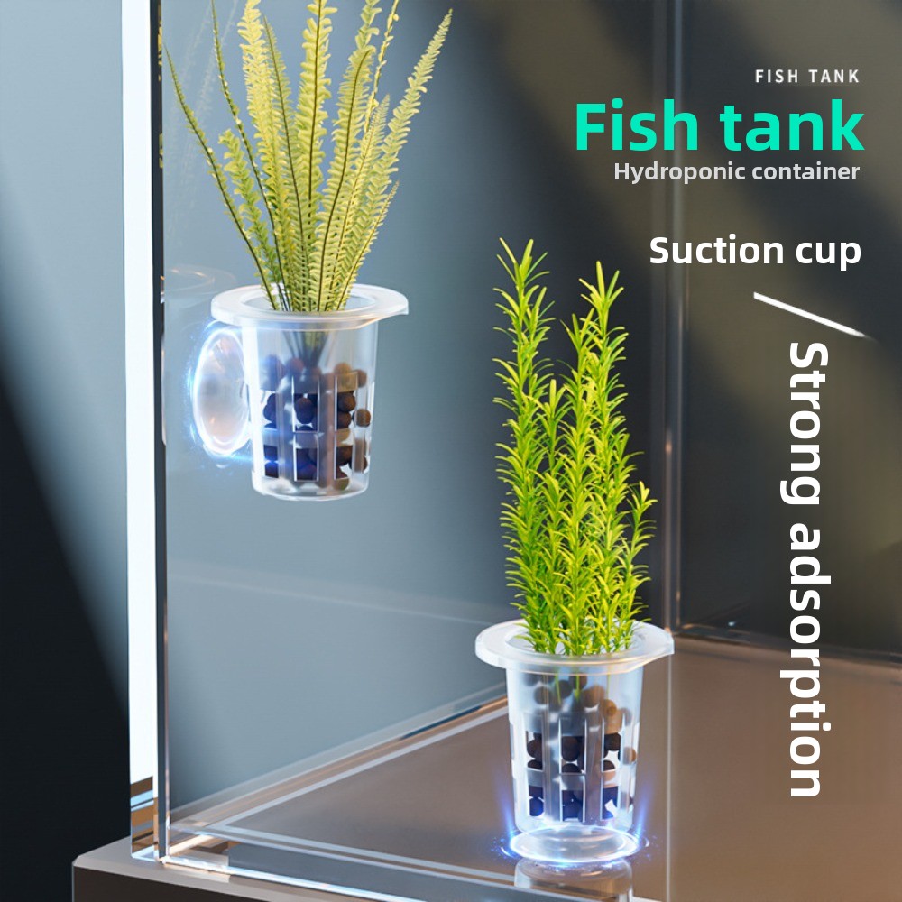 10 Macetas Transparentes para  - Hydroponic Grow Pod reseña y precio