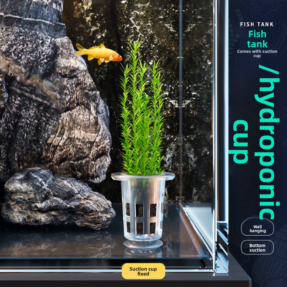 10 Macetas Transparentes para  - Hydroponic Grow Pod reseña y precio