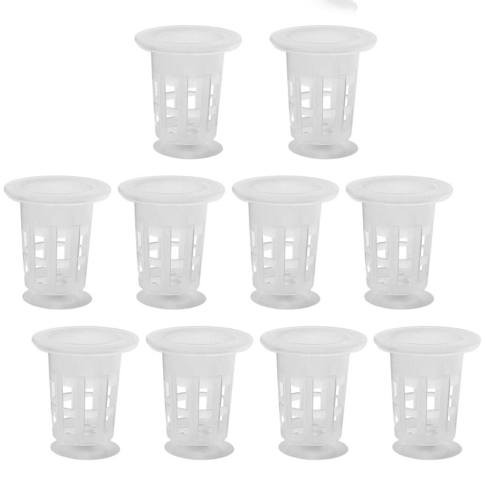 10 Macetas Transparentes para  - Hydroponic Grow Pod reseña y precio