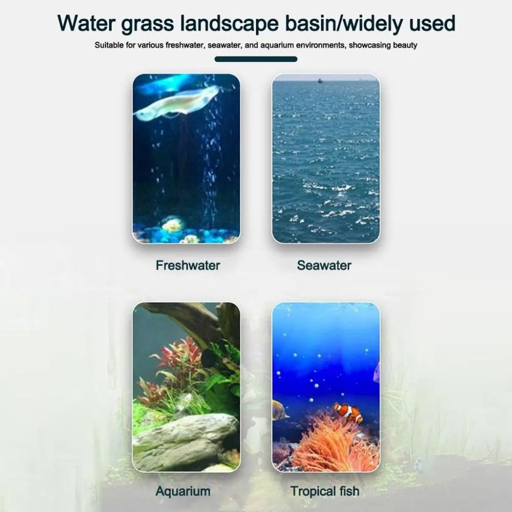 10 Macetas Transparentes para  - Hydroponic Grow Pod reseña y precio