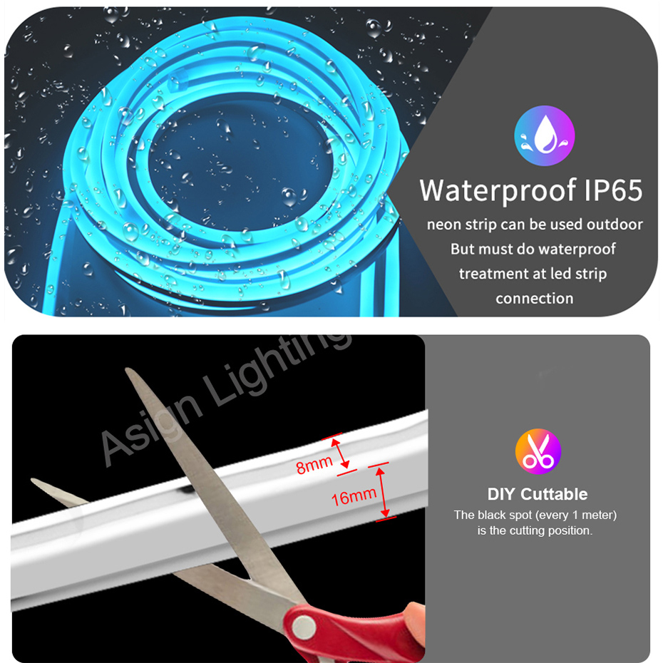 Luz de neón Led RGB inteligent - Smart Garden Lights Uk reseña y precio