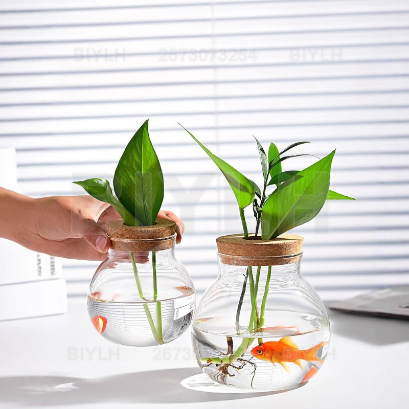 Florero de cristal para planta - Hydroponic Grow Pod reseña y precio