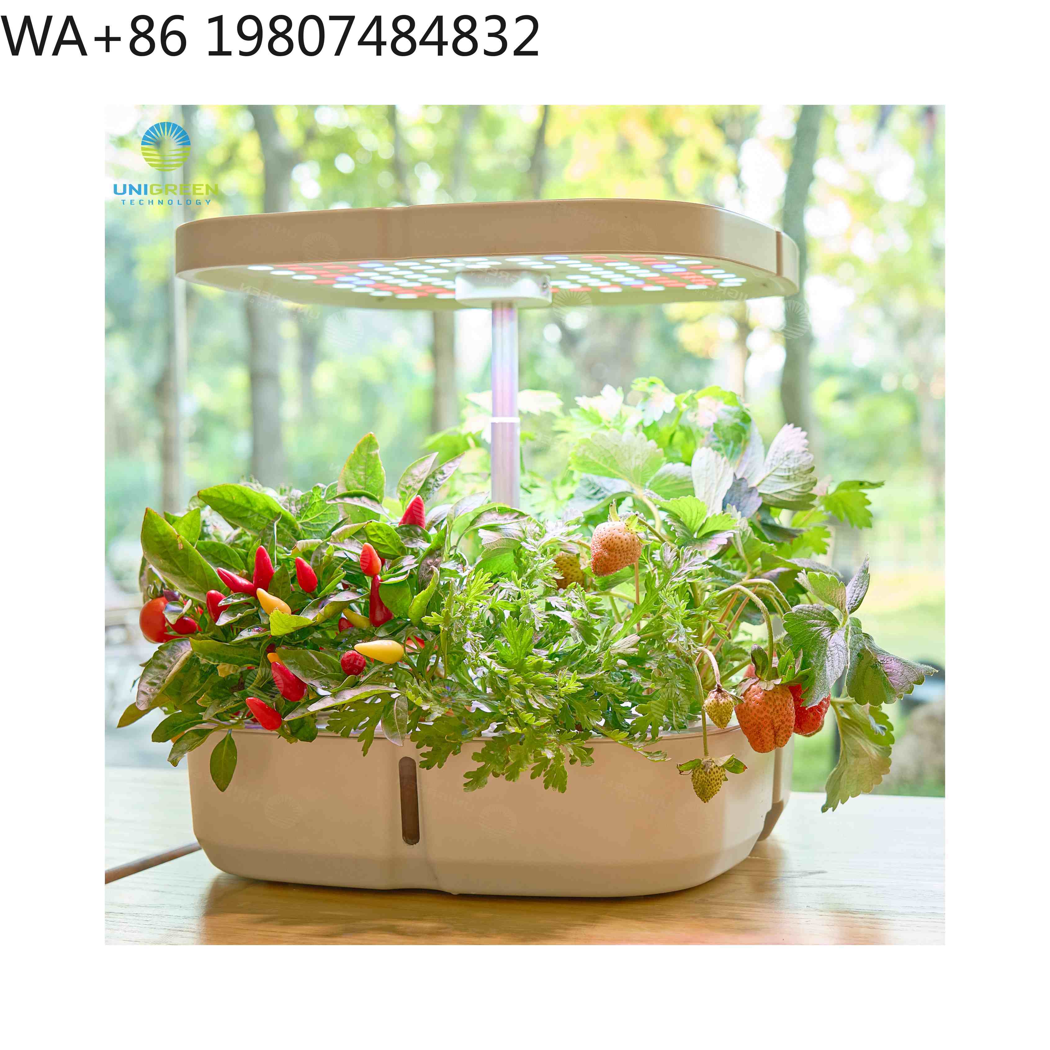Mini invernadero hidropónico d - Hydroponic Grow Pod reseña y precio