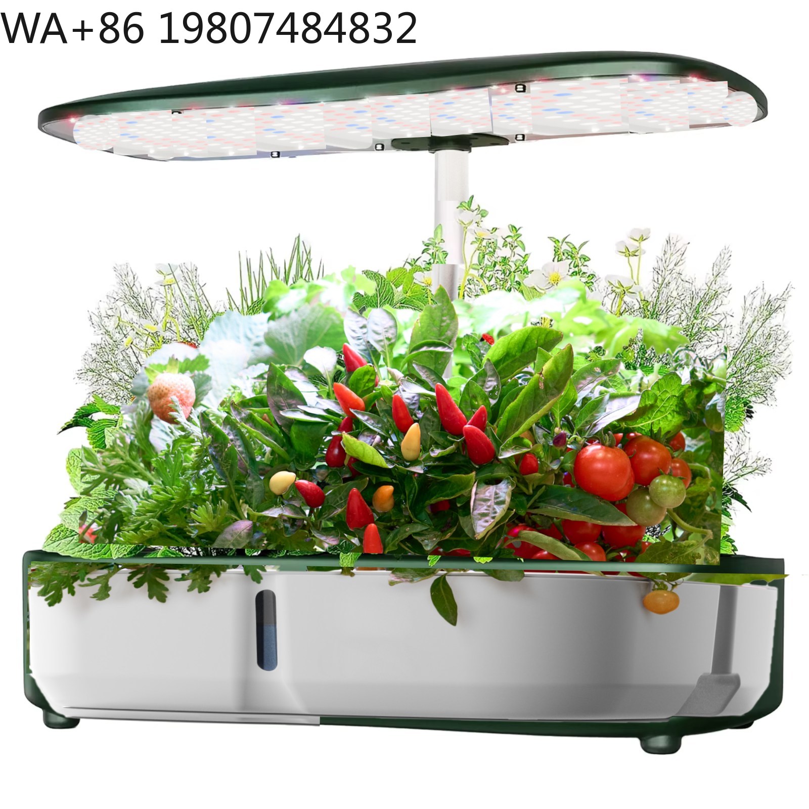 Mini invernadero hidropónico d - Hydroponic Grow Pod reseña y precio