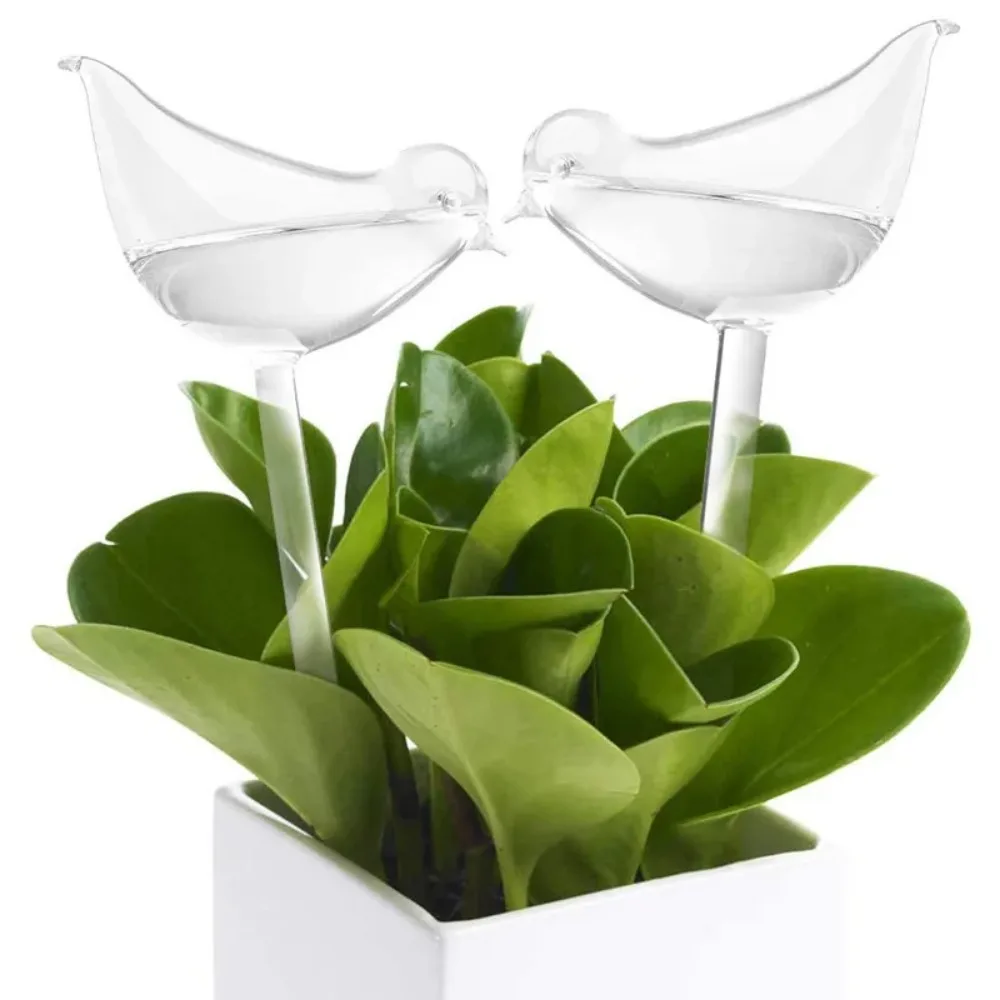 Dispositivo automático de rieg - Plant Watering Globe reseña y precio