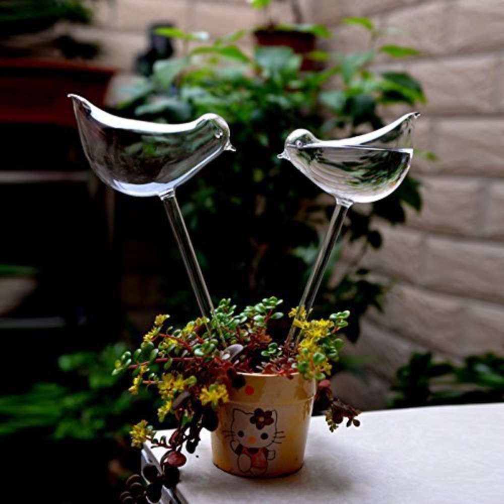 Dispositivo automático de rieg - Plant Watering Globe reseña y precio