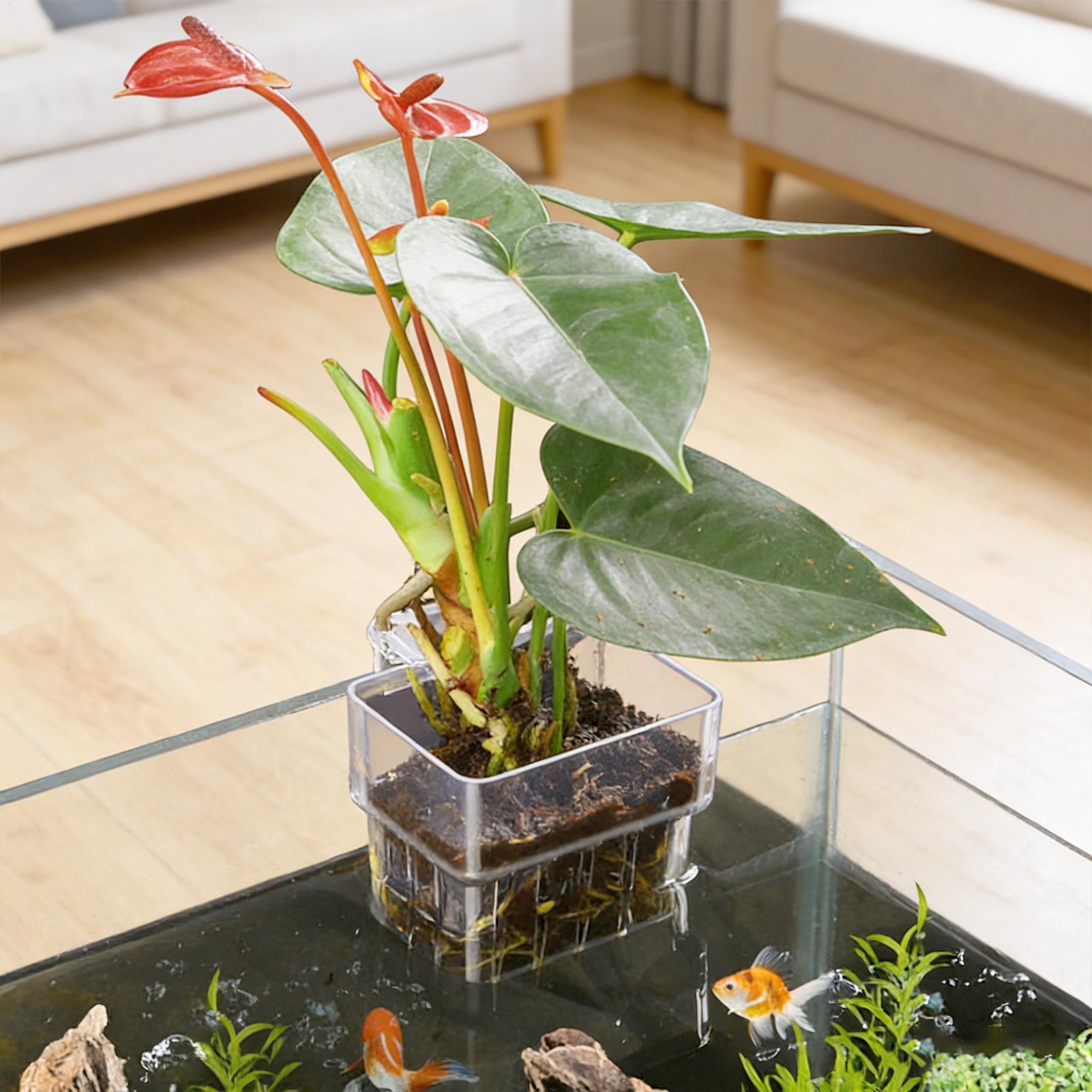 Maceta Transparente Colgante p - Hydroponic Grow Pod reseña y precio