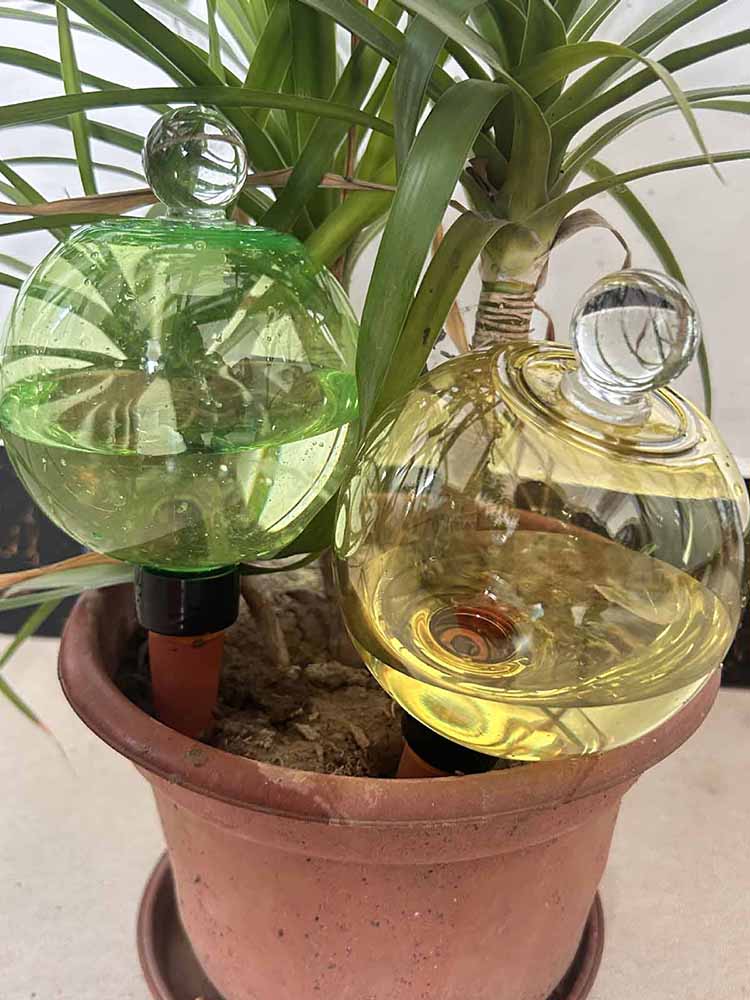 Globos de Riego Automático de  - Plant Watering Globe reseña y precio
