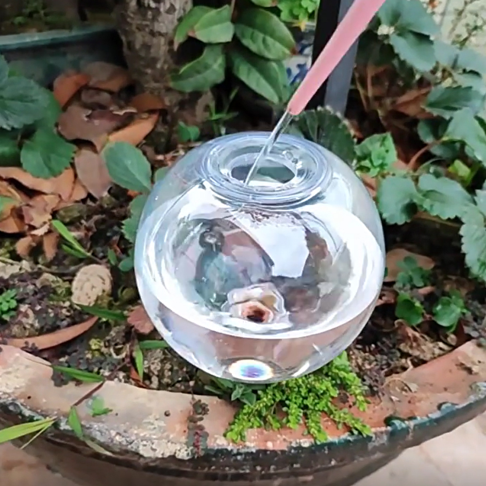 Globos de Riego Automático de  - Plant Watering Globe reseña y precio