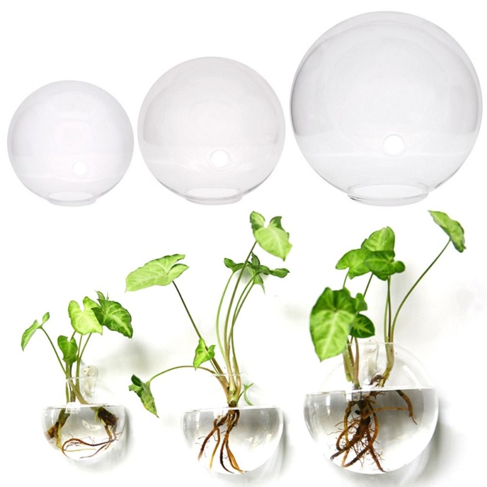 Florero de vidrio transparente - Hydroponic Grow Pod reseña y precio