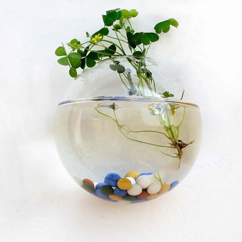 Florero de vidrio transparente - Hydroponic Grow Pod reseña y precio