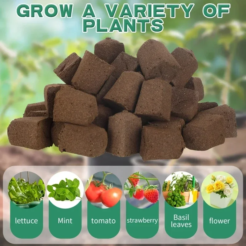 Kit de Esponjas para Germinaci - Hydroponic Grow Pod reseña y precio