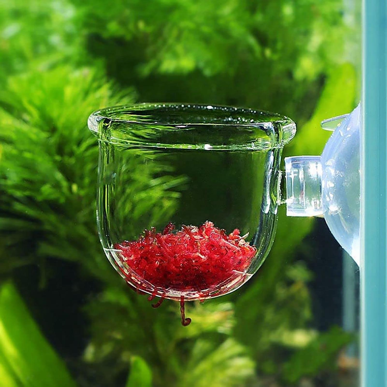 Maceta para plantas acuáticas, - Hydroponic Grow Pod reseña y precio