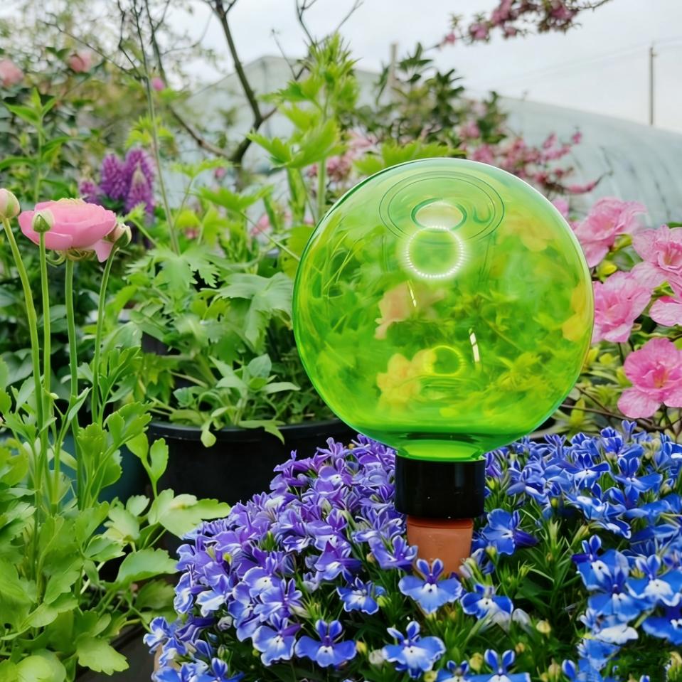3 Globos de Riego Automático p - Plant Watering Globe reseña y precio