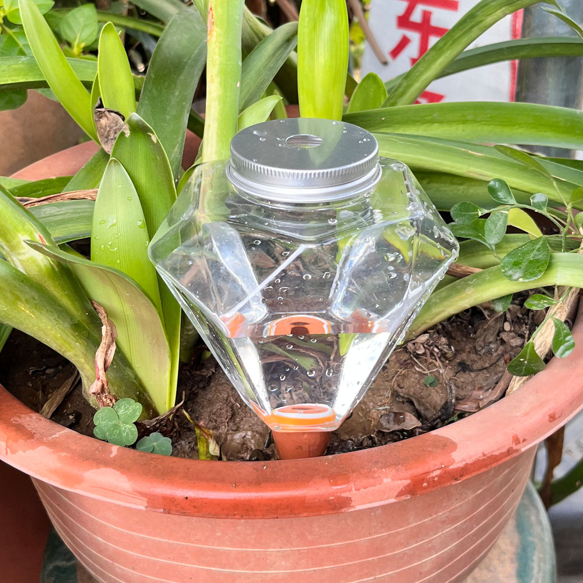 1 unidad de riego automático d - Plant Watering Globe reseña y precio
