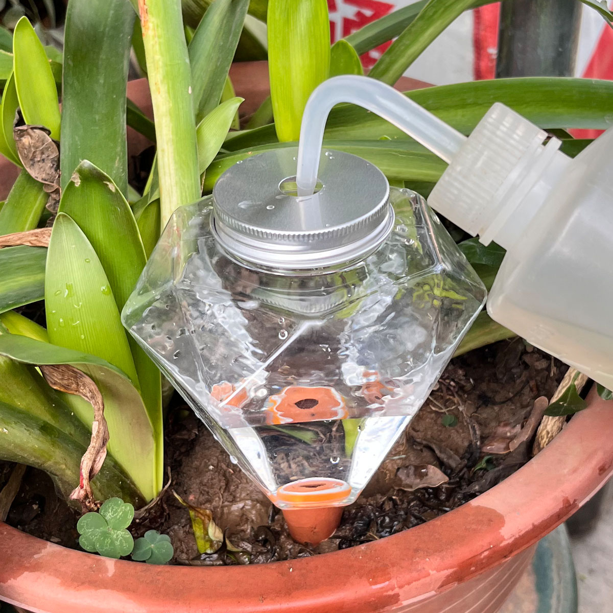 1 unidad de riego automático d - Plant Watering Globe reseña y precio