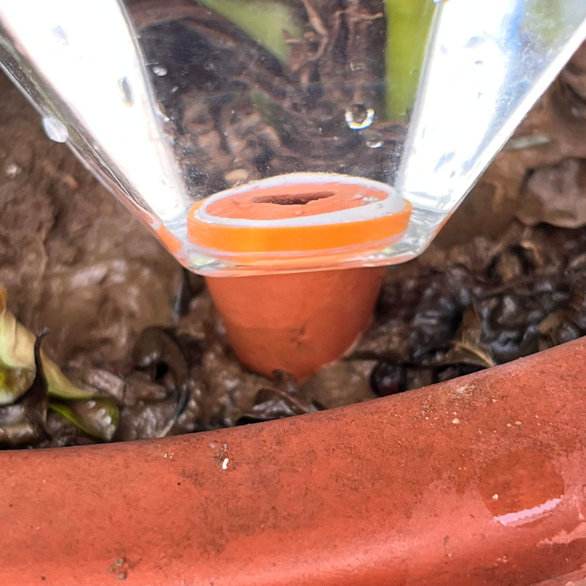 1 unidad de riego automático d - Plant Watering Globe reseña y precio