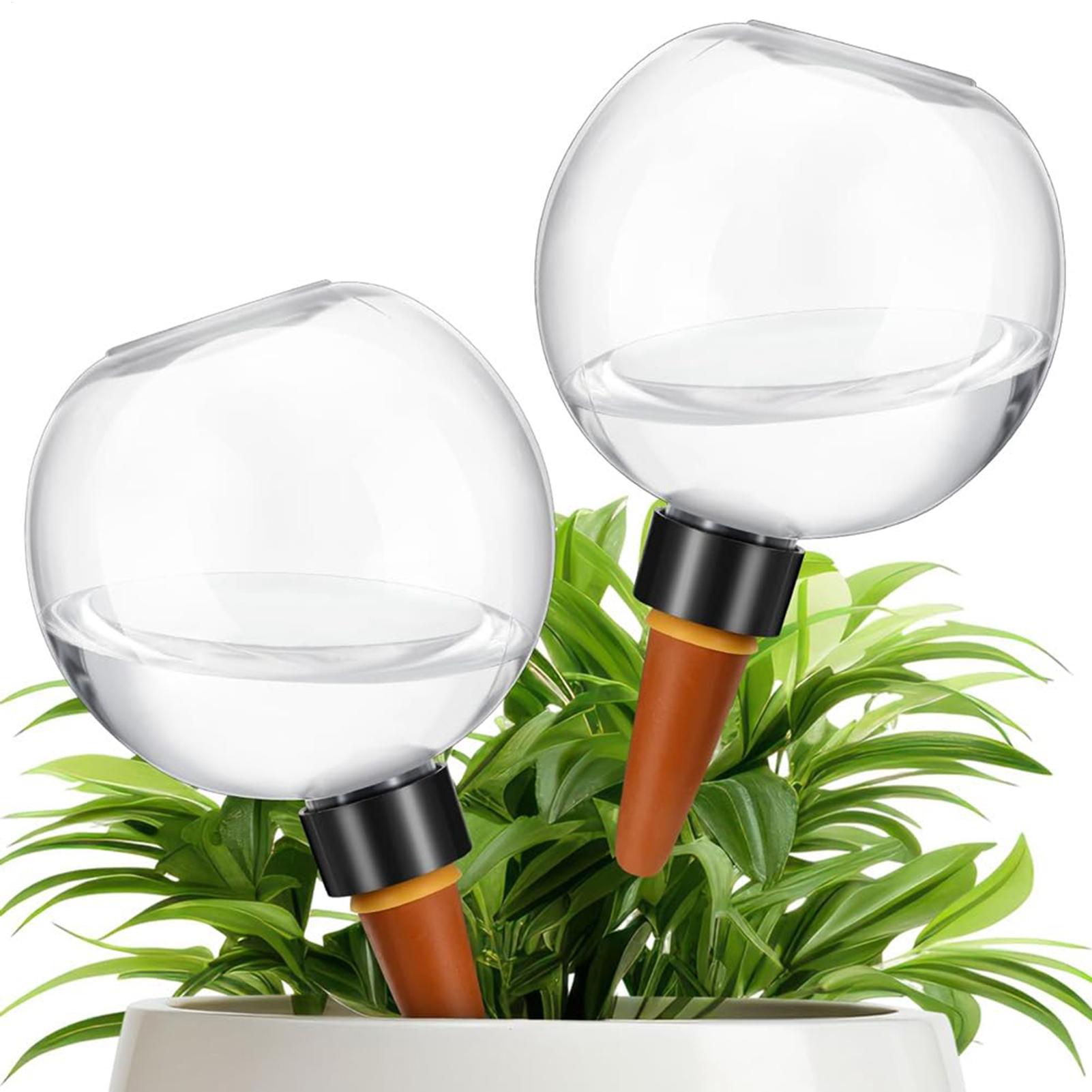 Bombillas de riego automático  - Plant Watering Globe reseña y precio