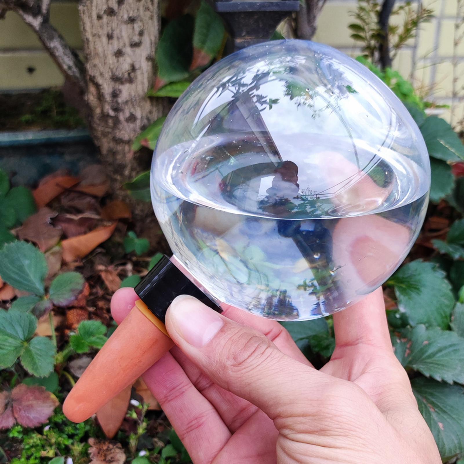 Bombillas de riego automático  - Plant Watering Globe reseña y precio