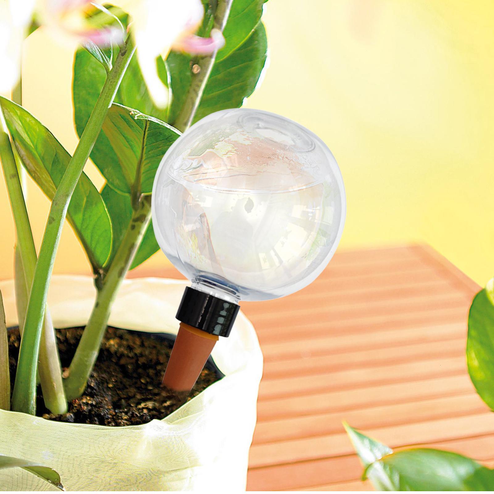 Bombillas de riego automático  - Plant Watering Globe reseña y precio