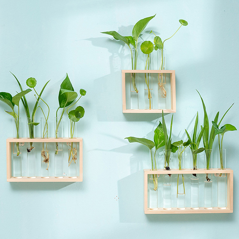 Contenedor de plantas hidropón - Hydroponic Grow Pod reseña y precio