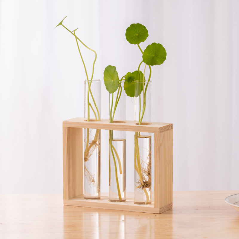 Contenedor de plantas hidropón - Hydroponic Grow Pod reseña y precio