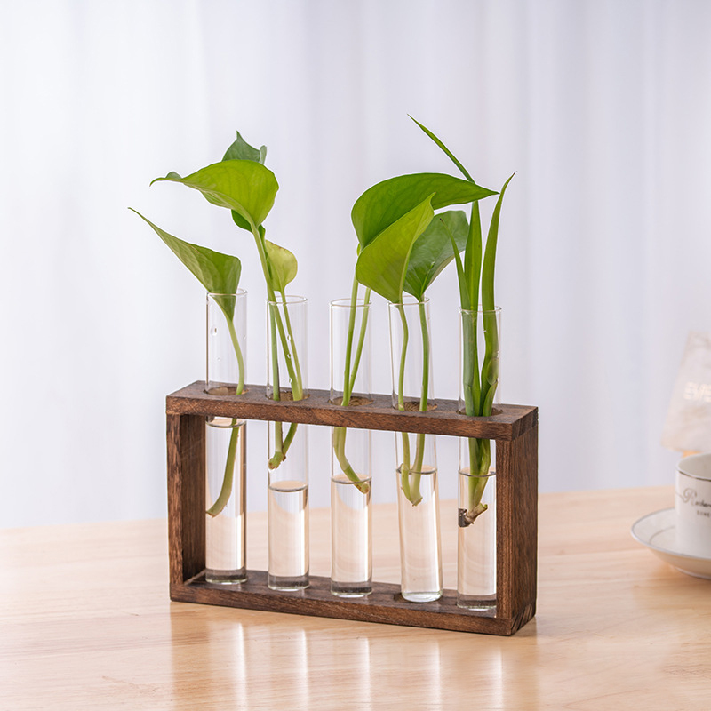 Contenedor de plantas hidropón - Hydroponic Grow Pod reseña y precio