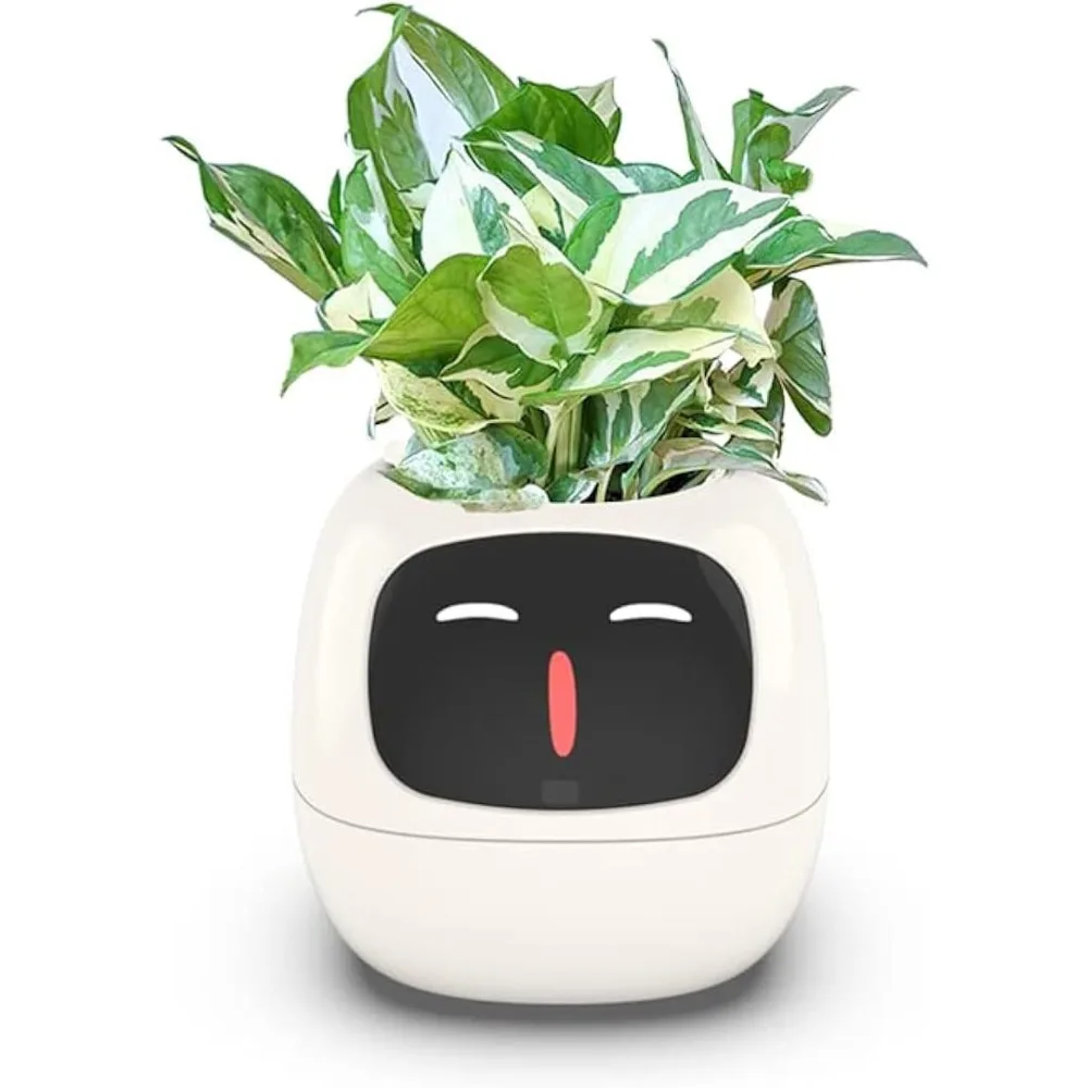 Maceta Inteligente con Chip de - Smart Garden Offices reseña y precio
