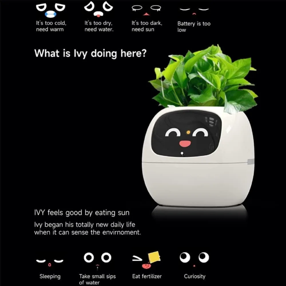 Maceta Inteligente con Chip de - Smart Garden Offices reseña y precio