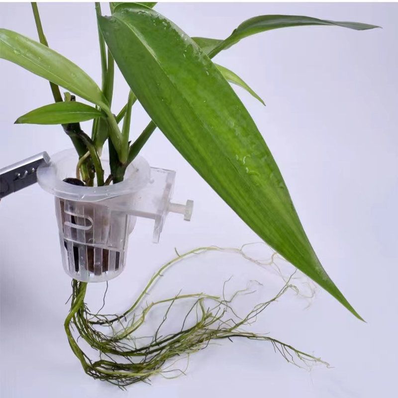 Cesta de plantación de acuario - Hydroponic Grow Pod reseña y precio